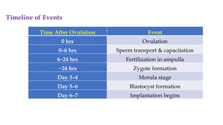 Timeline of Events
Time After Ovulation Event
0 hrs Ovulation
0–6 hrs Sperm transport & capacitation
6–24 hrs Fertilization in ampulla
~24 hrs Zygote formation
Day 3–4 Morula stage
Day 5–6 Blastocyst formation
Day 6–7 Implantation begins
 