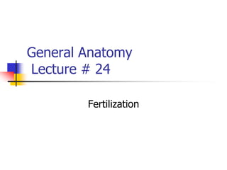 General Anatomy
Lecture # 24
Fertilization
 