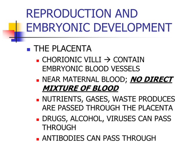 Model of Early Stages of Egg Fertilization and Development Consisting of 16 Parts main image 0