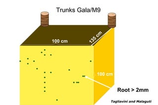 Trunks Gala/M9



                 cm
100 cm     135




                 100 cm


                          Root > 2mm
                      Tagliavini and Malaguti
 