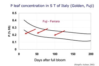 P leaf concentration in S T of Italy (Golden, Fuji)

           0.5

           0.4             Fuji - Ferrara
P (% SS)




           0.3

           0.2

           0.1

            0
                 0    50           100           150                  200

                     Days after la piena fioritura
                       gg. dopo full bloom
                                                     (Stimpfl e Aichner, 2002)
 