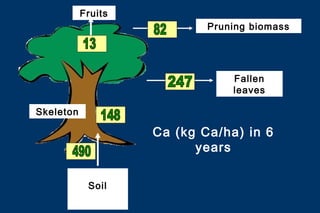 Fruits
                            Pruning biomass




                                Fallen
                                leaves

Skeleton

                    Ca (kg Ca/ha) in 6
                          years

            Soil
 