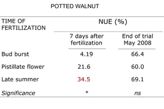 POTTED WALNUT

TIME OF                             NUE (%)
FERTILIZATION
                         7 days after    End of trial
                         fertilization   May 2008

Bud burst                    4.19             66.4

Pistillate flower           21.6              60.0

Late summer                34.5               69.1

Significance                  *               ns
 