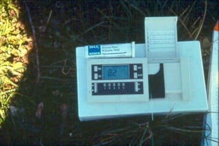 Fertilization icm-vacaria-toselli