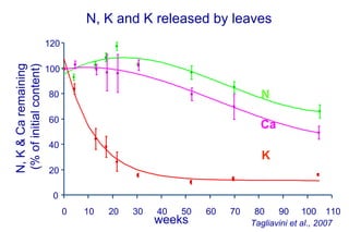 N, K and K released by leaves
                         120
N, K & Ca remaining
(% of initial content)

                         100

                         80                                             N

                         60
                                                                        Ca
                         40
                                                                        K
                         20

                          0
                               0   10   20   30   40   50   60   70    80    90 100 110
                                                  weeks               Tagliavini et al., 2007
 