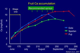 Fruit Ca accumulation
                12       Stage         Recommended sprays
                          one
                10

                8
Ca (mg/fruit)




                6
                                                                          Gala
                                                                          Spartan
                4
                                                                          Fuji
                2

                0
                     150      170     190    210      230     250     270     290
                       June         July       August       September     October
                                                                       Neilsen et al., 2001
 