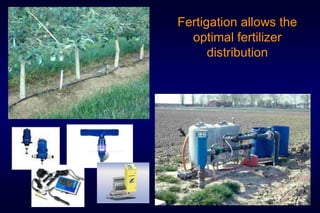 Fertigation allows the
  optimal fertilizer
      distribution
 