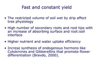 Fast and constant yield

• The restricted volume of soil wet by drip affect
  tree physiology
• High number of secondary roots and root tips with
  an increase of absorbing surface and root:soil
  interface
• Higher nutrient and water uptake efficiency
• Increse synthesis of endogenous hormons like
  Cytokinines and Gibberellins that promote flower
  differentiation (Bravdo, 2000).
 