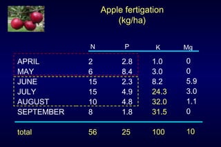Apple fertigation
                     (kg/ha)

            N          P       K     Mg

APRIL       2         2.8     1.0    0
MAY         6         8.4     3.0    0
JUNE        15        2.3     8.2    5.9
JULY        15        4.9     24.3   3.0
AUGUST      10        4.8     32.0   1.1
SEPTEMBER   8         1.8     31.5   0

total       56        25      100    10
 
