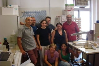 Fertilization icm-vacaria-toselli