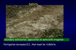 Salinity




Secndary salinization, application of salts with irrigation

Fertigation increases E.C., that must be <1,8dS/m
 