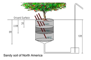 Sandy soil of North America
 