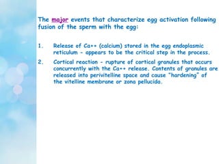 1. Release of Ca++ (calcium) stored in the egg endoplasmic
reticulum - appears to be the critical step in the process.
2. Cortical reaction - rupture of cortical granules that occurs
concurrently with the Ca++ release. Contents of granules are
released into perivitelline space and cause “hardening” of
the vitelline membrane or zona pellucida.
The major events that characterize egg activation following
fusion of the sperm with the egg:
 