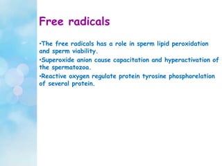 Free radicals
•The free radicals has a role in sperm lipid peroxidation
and sperm viability.
•Superoxide anion cause capacitation and hyperactivation of
the spermatozoa.
•Reactive oxygen regulate protein tyrosine phosphorelation
of several protein.
 