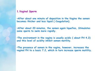 1.Vaginal Sperm
•After about one minute of deposition in the Vagina the semen
becomes thicker and less liquid ( Coagulation).
•After about 20 minutes, the semen again liquefies, Stimulates
some sperm to swim more rapidly.
•The environment in the vagina is usually acidic ( about PH 4.2)
and this level of acidity inhibit semen motility.
•The presence of semen in the vagina, however, increases the
vaginal PH to a basic 7.2, which in turn increase sperm motility.
 