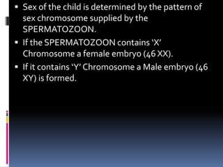  Sex of the child is determined by the pattern of
sex chromosome supplied by the
SPERMATOZOON.
 If the SPERMATOZOON contains ‘X’
Chromosome a female embryo (46 XX).
 If it contains ‘Y’ Chromosome a Male embryo (46
XY) is formed.
 