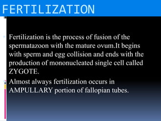 FERTILIZATION
 Fertilization is the process of fusion of the
spermatazoon with the mature ovum.It begins
with sperm and egg collision and ends with the
production of mononucleated single cell called
ZYGOTE.
 Almost always fertilization occurs in
AMPULLARY portion of fallopian tubes.
 