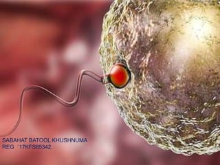 SABAHAT BATOOL KHUSHNUMA
REG `17KFS85342.
 