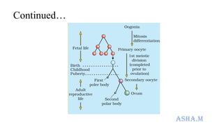 Fertilization and fetal development ppt | PPTX