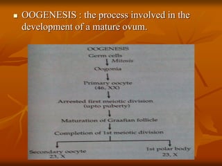 Fertilization & Fetal Development.pdf