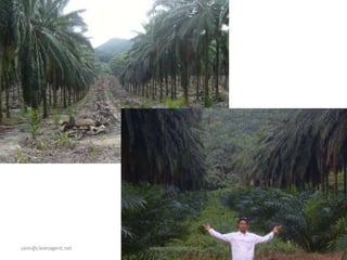 zaini@cleanagent.net www.cleanagent.net
 