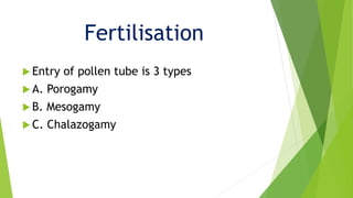 Fertilization in plants ( Double fertilization, syngamy, triple fusion.
