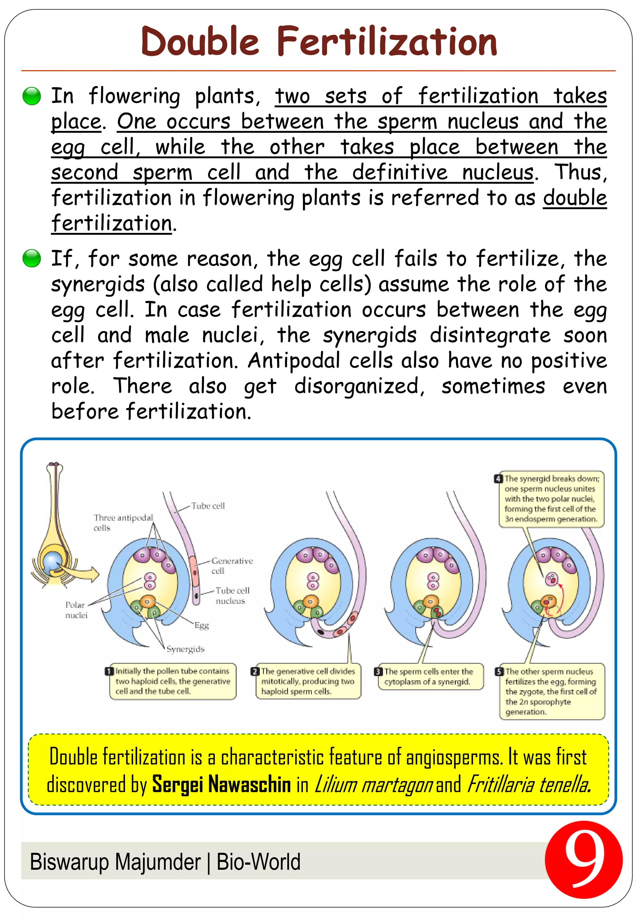 Fertilization in flowering plants pdf