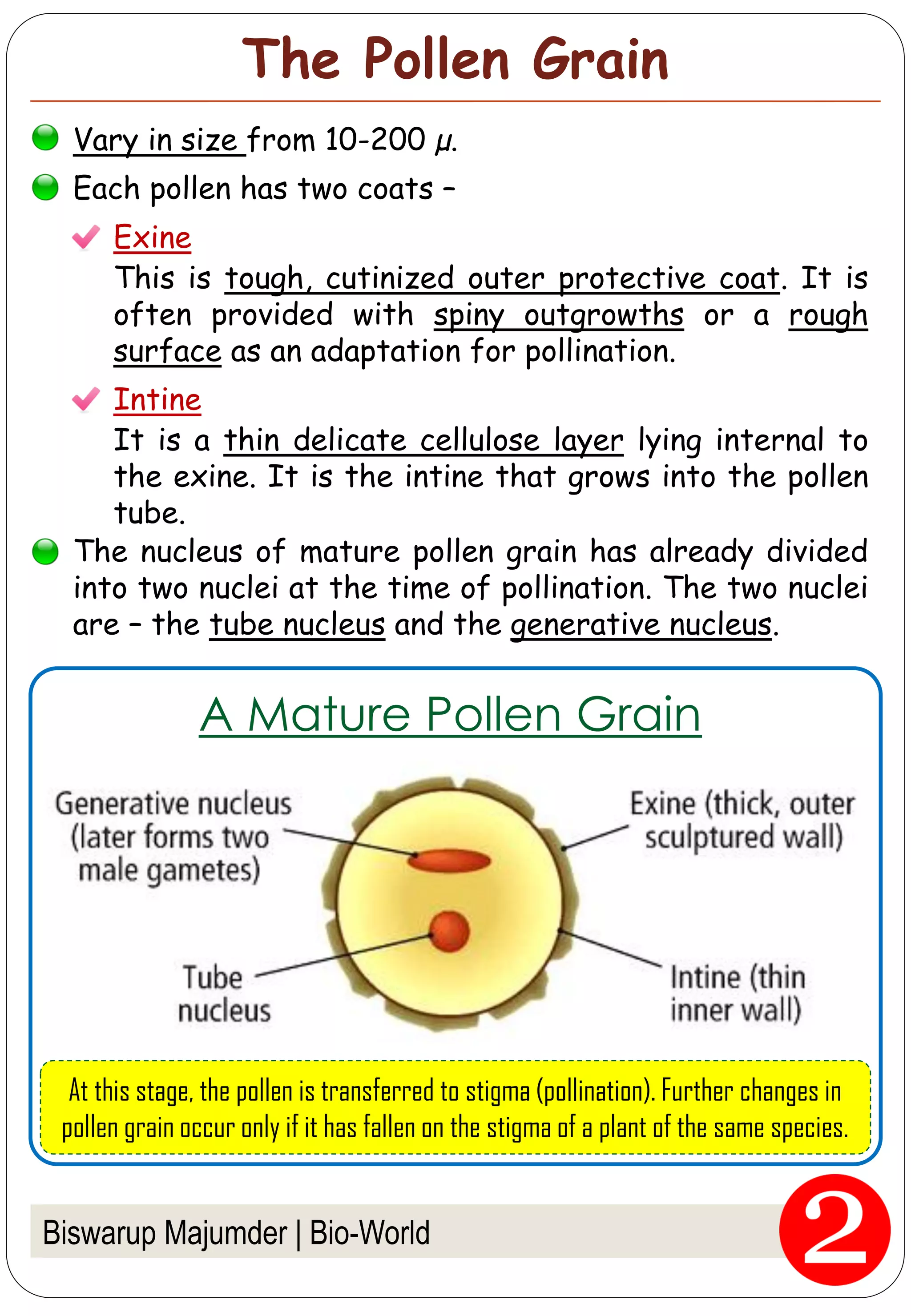 Fertilization in flowering plants pdf