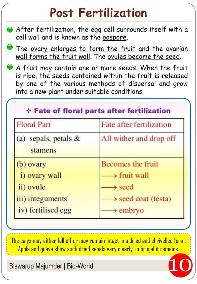 Fertilization in flowering plants pdf infertility reproductive health