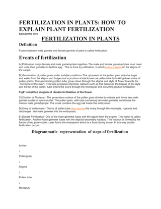 FERTILIZATION IN PLANTS: HOW TO
EXPLAIN PLANT FERTILIZATION
Spread the love
FERTILIZATION IN PLANTS
Definition
Fusion between male gamete and female gamete of plant is called fertilization.
Events of fertilization
A] Pollination brings female and male gametophyte together- The male and female gametophytes must meet
and unite their gametes to fertilize egg. This is done by pollination, in which pollen is placed on the stigma of
the carpel.
B] Germination of pollen grain under suitable condition– The cytoplasm of the pollen grain absorbs sugar
and water from the stigma and bulges out to produce a tube known as pollen tube by braking down exine of
pollen grains. This germinating pollen tube grows down through the stigma and style of flower towards the
micropyle of the ovary. This tube produces chemical, calcium such as that dissolves the tissues of the style
and the tip of the pollen tube enters the ovary through the micropylar end occurring double fertilization.
Fig#1 simplified diagram of double fertilization of the flower
C] Division of Nucleus– The generative nucleus of the pollen grain divides by mitosis and forms two male
gamete nuclei or sperm nuclei. The pollen grain, with tube containing two male gamates constitutes the
mature male gametophyte. The ovule contains the egg cell inside the embryosac.
D] Entry of pollen tube– The tip of pollen tube after entering the ovary through the micropyle, ruptures and
discharges two male gametes into the embryosac.
E] Double Fertilization- One of the male gametes fuses with the egg to form the zygote. This fusion is called
fertilization. Another Male gametes fuses with the deploid secondary nucleus. This nucleus is formed by the
fusion of two polar nuclei. Later forms the endosperm which is a food storing tissue. In this way double
fertilization occurs
Diagrammatic representation of steps of fertilization
Anther
↓
Pollengrain
↓
Stigma
↓
Pollen tube
↓
Micropyle
 