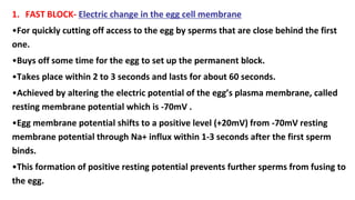 1. FAST BLOCK- Electric change in the egg cell membrane
•For quickly cutting off access to the egg by sperms that are close behind the first
one.
•Buys off some time for the egg to set up the permanent block.
•Takes place within 2 to 3 seconds and lasts for about 60 seconds.
•Achieved by altering the electric potential of the egg’s plasma membrane, called
resting membrane potential which is -70mV .
•Egg membrane potential shifts to a positive level (+20mV) from -70mV resting
membrane potential through Na+ influx within 1-3 seconds after the first sperm
binds.
•This formation of positive resting potential prevents further sperms from fusing to
the egg.
 