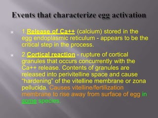 fertilizationnotes-140122140506-phpapp02.pptx