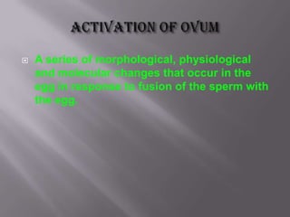  A series of morphological, physiological
and molecular changes that occur in the
egg in response to fusion of the sperm with
the egg.
 