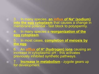  3. In many species, an influx of Na+ (sodium)
into the egg cytoplasm that causes a change in
membrane potential - fast block to polyspermy.
 4. In many species a reorganization of the
egg cytoplasm.
 5. In most cases, completion of meiosis by
the egg.
 6. An efflux of H+ (hydrogen) ions causing an
increase in cytoplasmic pH - this activates
previously inhibited synthetic pathways.
 7. Increase in metabolism - zygote gears up
for development.
 