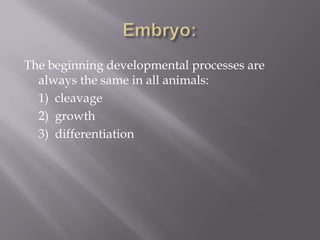 The beginning developmental processes are
always the same in all animals:
1) cleavage
2) growth
3) differentiation
 