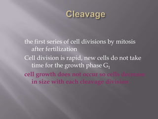 the first series of cell divisions by mitosis
after fertilization
Cell division is rapid, new cells do not take
time for the growth phase G1
cell growth does not occur so cells decrease
in size with each cleavage division
 