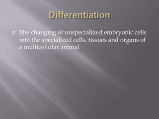  The changing of unspecialized embryonic cells
into the specialized cells, tissues and organs of
a multicellular animal
 