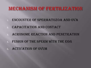 1. Encounter of spermatozoa and ova
2. Capacitation and contact
3. Acrosome reaction and penetration
4. Fusion of the sperm with the egg
5. Activation of ovum
 