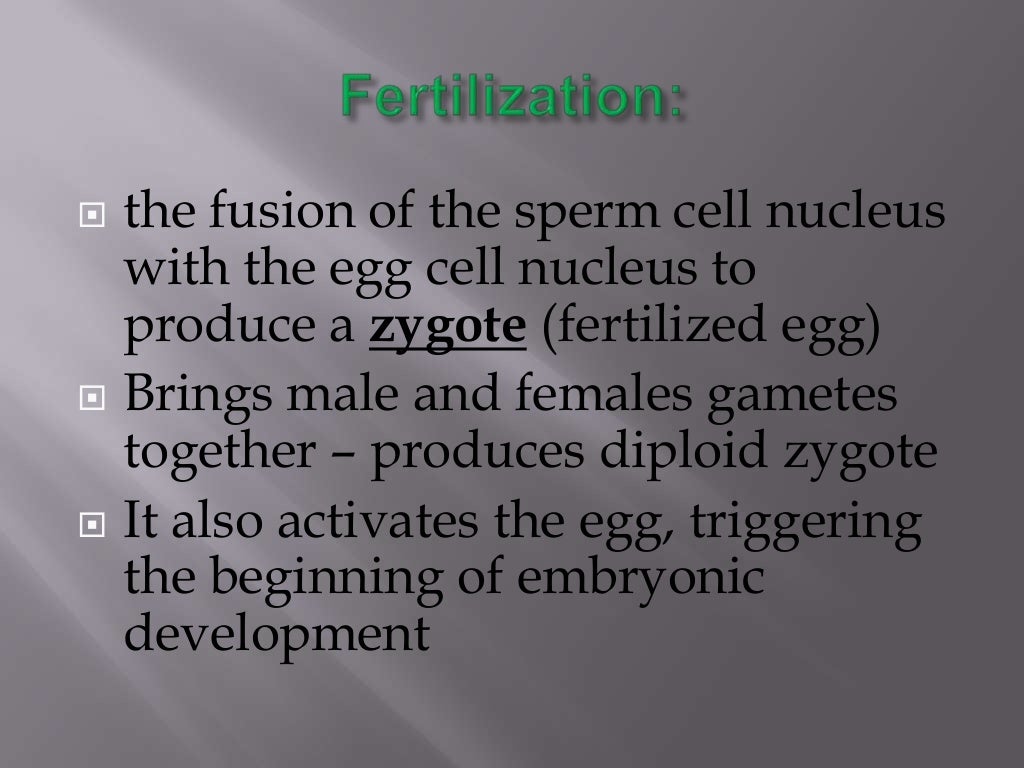 Fertilization notes