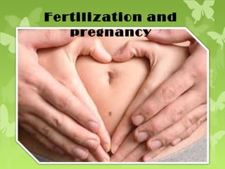 Fertilization and
pregnancy
 