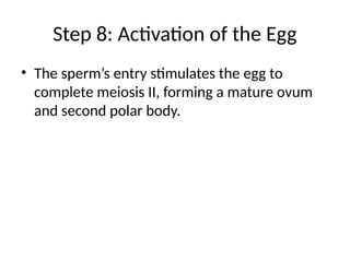 Step 8: Activation of the Egg
• The sperm’s entry stimulates the egg to
complete meiosis II, forming a mature ovum
and second polar body.
 
