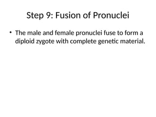 Step 9: Fusion of Pronuclei
• The male and female pronuclei fuse to form a
diploid zygote with complete genetic material.
 