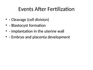 Events After Fertilization
• - Cleavage (cell division)
• - Blastocyst formation
• - Implantation in the uterine wall
• - Embryo and placenta development
 