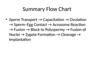 Summary Flow Chart
• Sperm Transport → Capacitation → Ovulation
→ Sperm–Egg Contact → Acrosome Reaction
→ Fusion → Block to Polyspermy → Fusion of
Nuclei → Zygote Formation → Cleavage →
Implantation
 