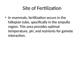 Site of Fertilization
• In mammals, fertilization occurs in the
fallopian tube, specifically in the ampulla
region. This area provides optimal
temperature, pH, and nutrients for gamete
interaction.
 