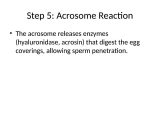 Step 5: Acrosome Reaction
• The acrosome releases enzymes
(hyaluronidase, acrosin) that digest the egg
coverings, allowing sperm penetration.
 