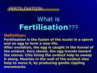 FERTILISATION
What is
Fertilisation???
Definition:
Fertilisation is the fusion of the nuclei in a sperm
and an egg to form a new life.
After ovulation, the egg is caught in the funnel of
the oviduct. Very slowly, the egg travels toward
the uterus. Cilia lining the oviduct help to sweep
it along. Muscles in the wall of the oviduct also
help to move it, by producing gentle rippling
movements.
 