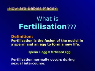 How are Babies Made? Definition: Fertilisation is the fusion of the nuclei in a sperm and an egg to form a new life. Fertilisation normally occurs during sexual intercourse. What is  Fertilisation ??? sperm + egg = fertilised egg 