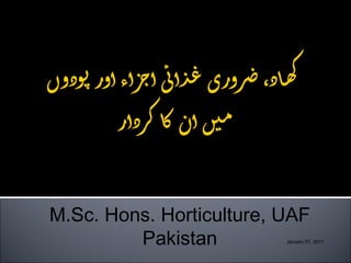 January 07, 2017
Prepared by: Muhammad Riaz
M.Sc. Hons. Horticulture, UAF
Pakistan
 