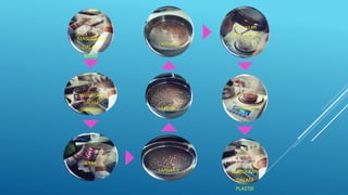 MASUKKAN
DALAM
BIKAR
MASUKKAN
DALAM
SARINGAN
AYAK
LAPISAN 1
LAPISAN 2
LAPISAN 3
MASUKKAN
DALAM BIKAR
TIMBANG
MASUKKAN
DALAM
PLASTIK
 